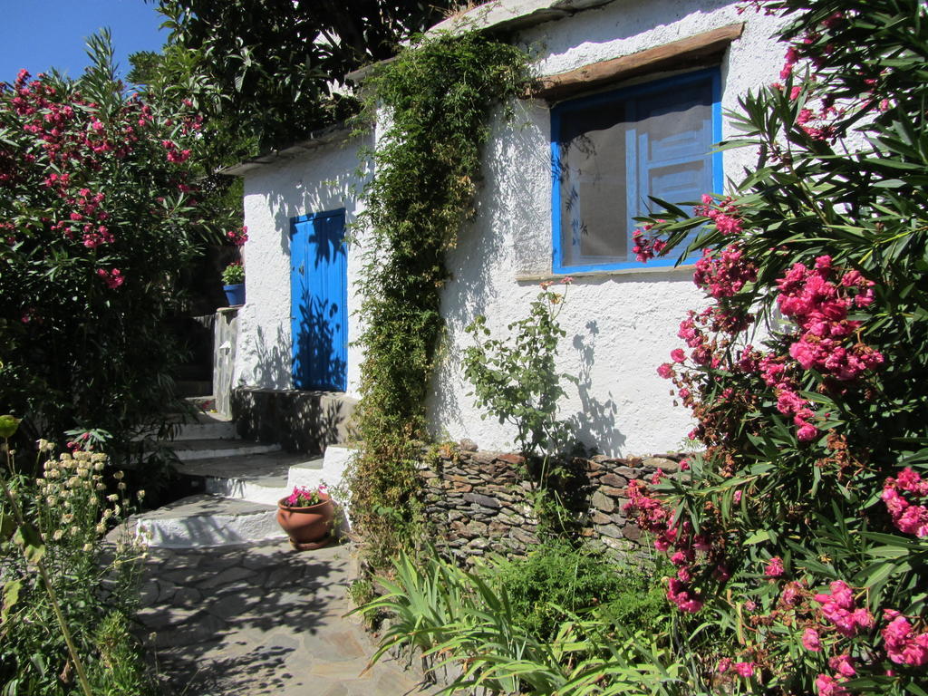Sierra Y Mar Bed and Breakfast Ferreirola Værelse billede