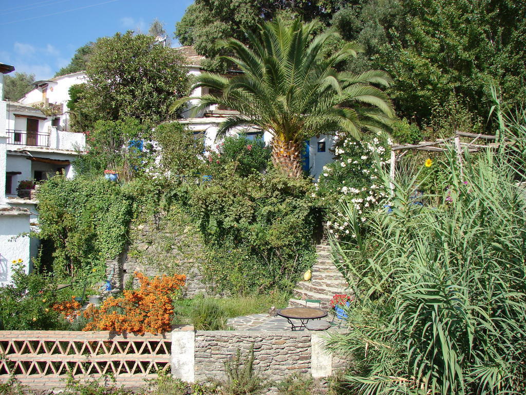 Sierra Y Mar Bed and Breakfast Ferreirola Eksteriør billede