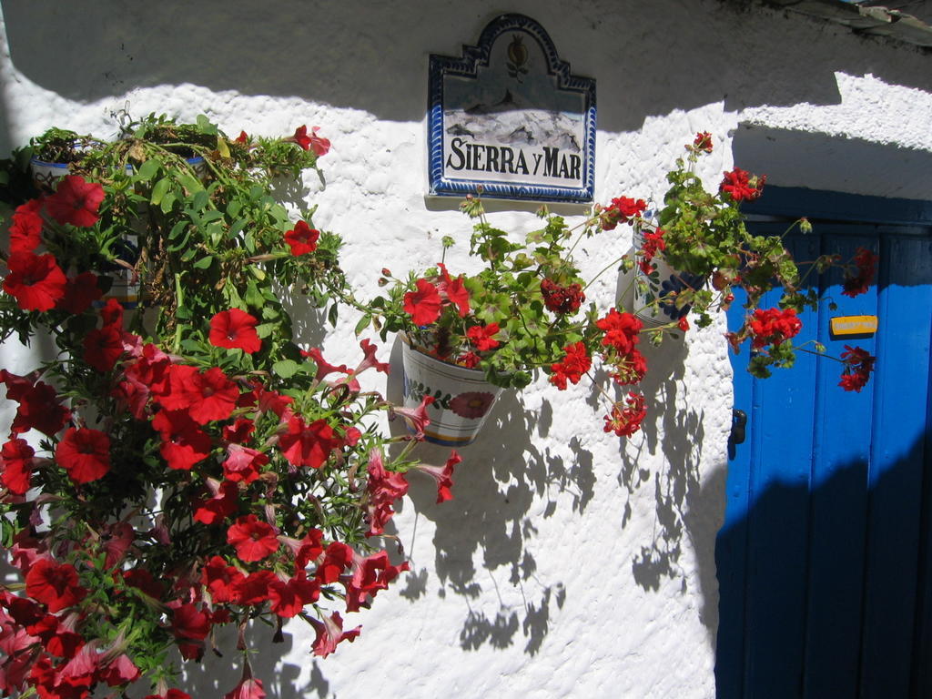 Sierra Y Mar Bed and Breakfast Ferreirola Eksteriør billede